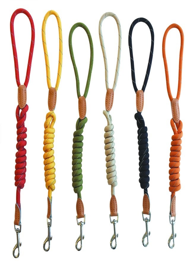 أم-بيتس طوق كلاب M-PETS Reflecto بتصميم عاكس عالي الوضوح، طوق قوي للحيوانات الأليفة مناسب للمشي الليلي والتدريب والركض والأنشطة الخارجية، متين، مزود بقفل أمان، ألوان متنوعة (عبوة من قطعة واحدة) - Image 1